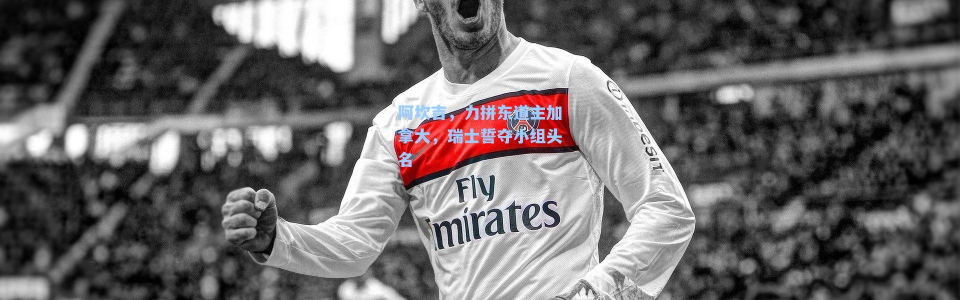 彩客网官网登录|阿坎吉，力拼东道主加拿大，瑞士誓夺小组头名