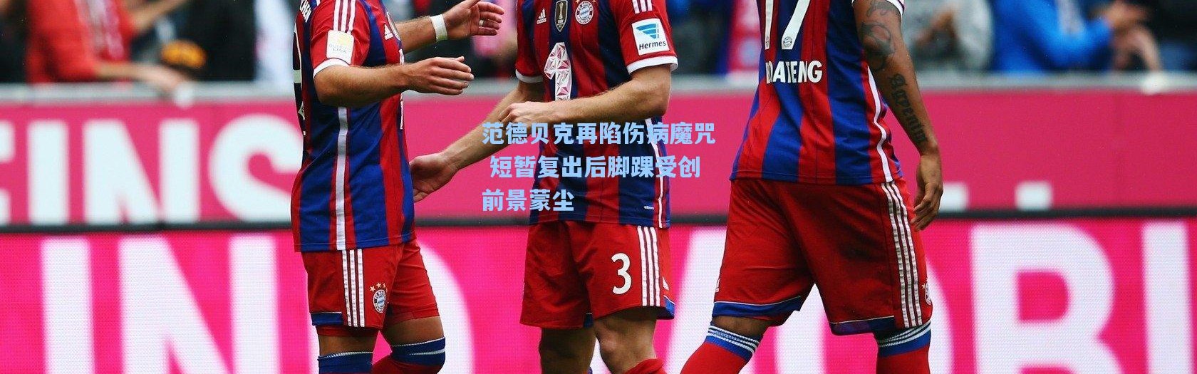 彩客网官网登录-范德贝克再陷伤病魔咒 短暂复出后脚踝受创前景蒙尘